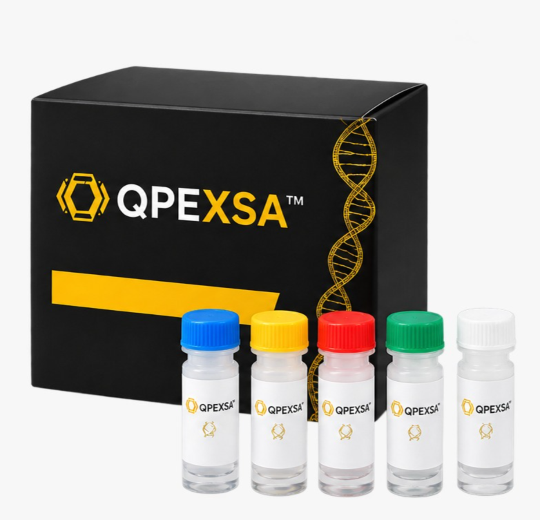 علبة أدوات التشخيص الجزيئي QPEXSA™ مع صف من قوارير الكواشف المعنونة.