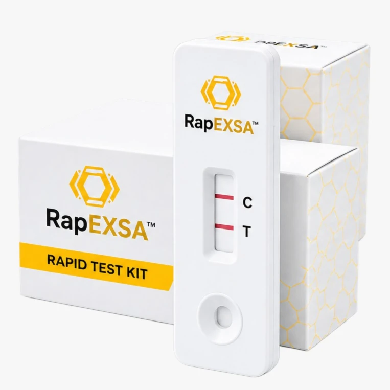 شريحة اختبار RapEXSA™ السريعة تظهر خط التحكم وخط الاختبار، بجانب عُلبها.